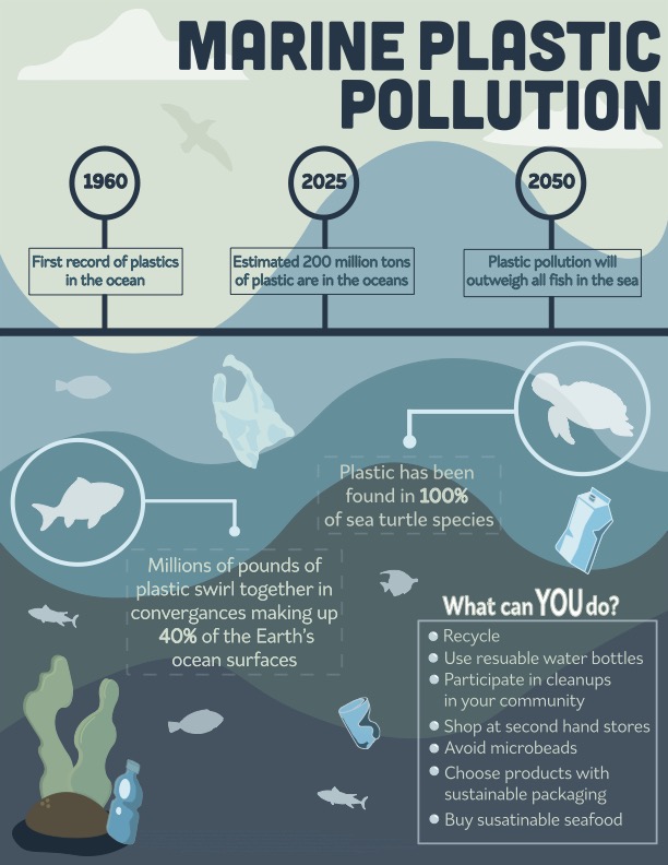 Infographic describing the impacts of marine plastic pollution