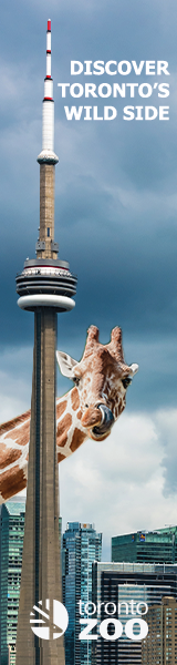 digital ad mock up for the Toronto Zoo with a giraffe looking around the CN Tower. 